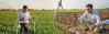 Agriculture Vastu – Vastu for Agricultural Land to Ensure Prosperity in Farming