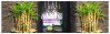 Karumbeeswarar Temple, Kovilvenni – A Sacred Sanctuary for Energy Balance and Spiritual Wellness
