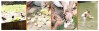 What is the importance of Madhyashtami Paksha Shradh Ritual?