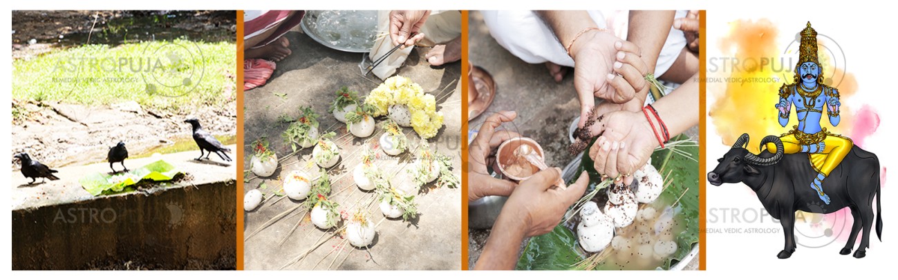 Who should perform the Maha Bharani Shraddha & Why?
