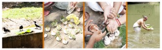 What is the importance of Madhyashtami Paksha Shradh Ritual?