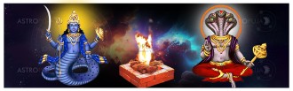 Rahu-Ketu Gochaara Parihara Homam