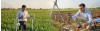 Agriculture Vastu – Vastu for Agricultural Land to Ensure Prosperity in Farming